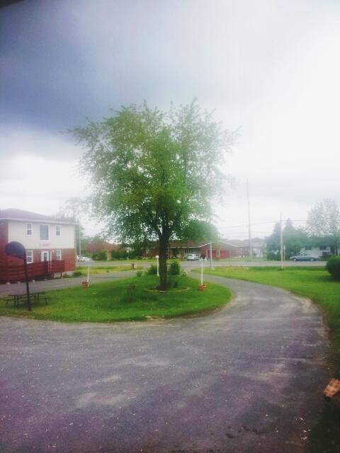 Welcome Traveller Motel Kingston Luaran gambar